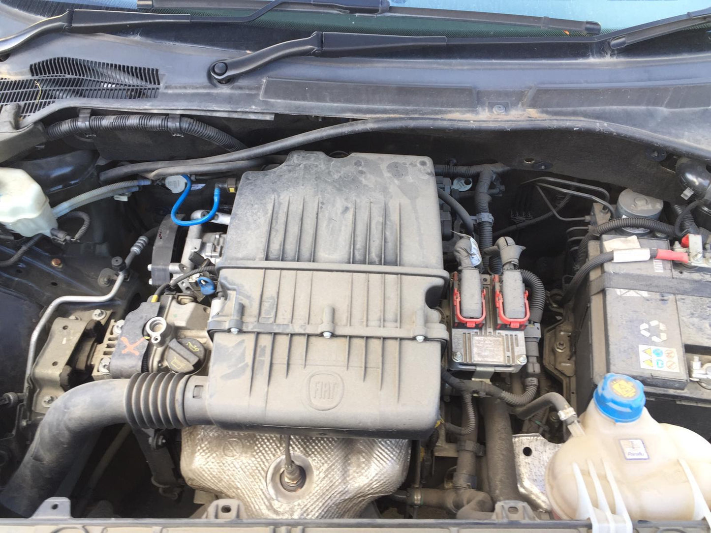 2014 FIAT PUNTO 08/13-12/15 6000630350 LEFT GUARD