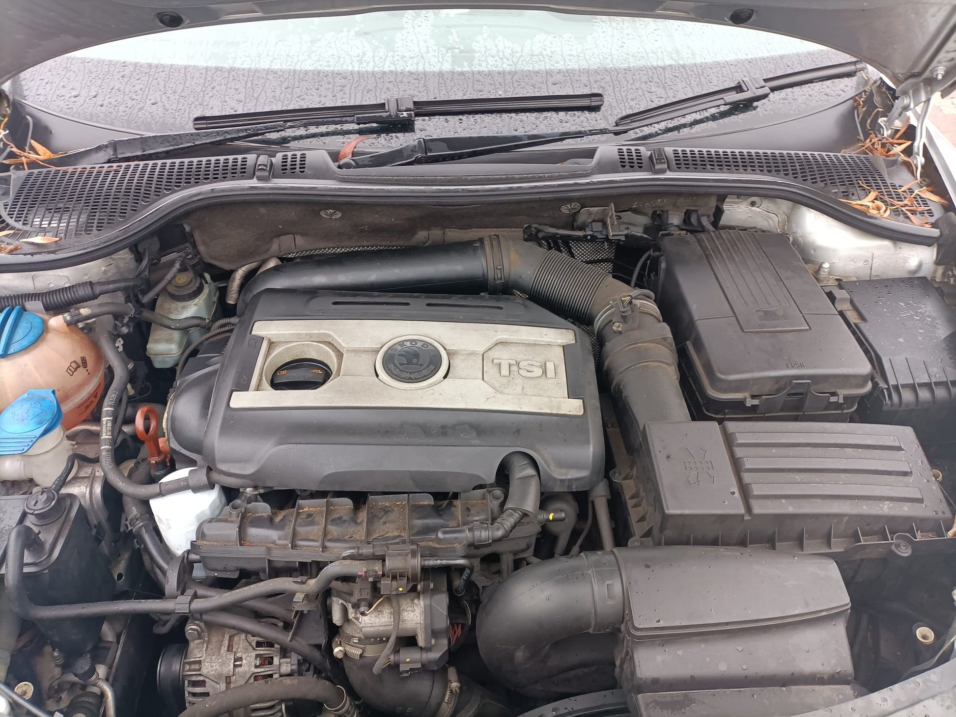 2010 SKODA OCTAVIA 1Z, LIFTBACK SEDAN, NON PARK SENSOR TYPE, 05/09-10/13  1Z5807417 REAR BUMPER