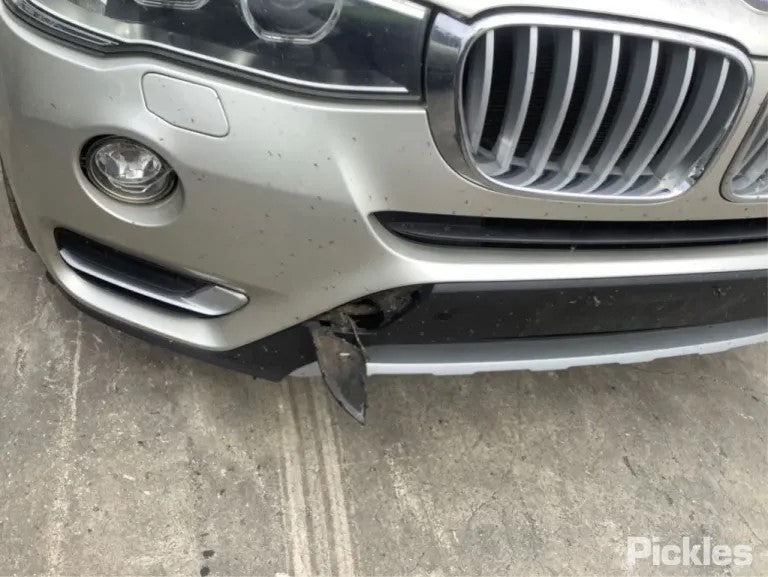 2014 BMW X3 F25, 03/11-07/17  COURTESY LIGHT