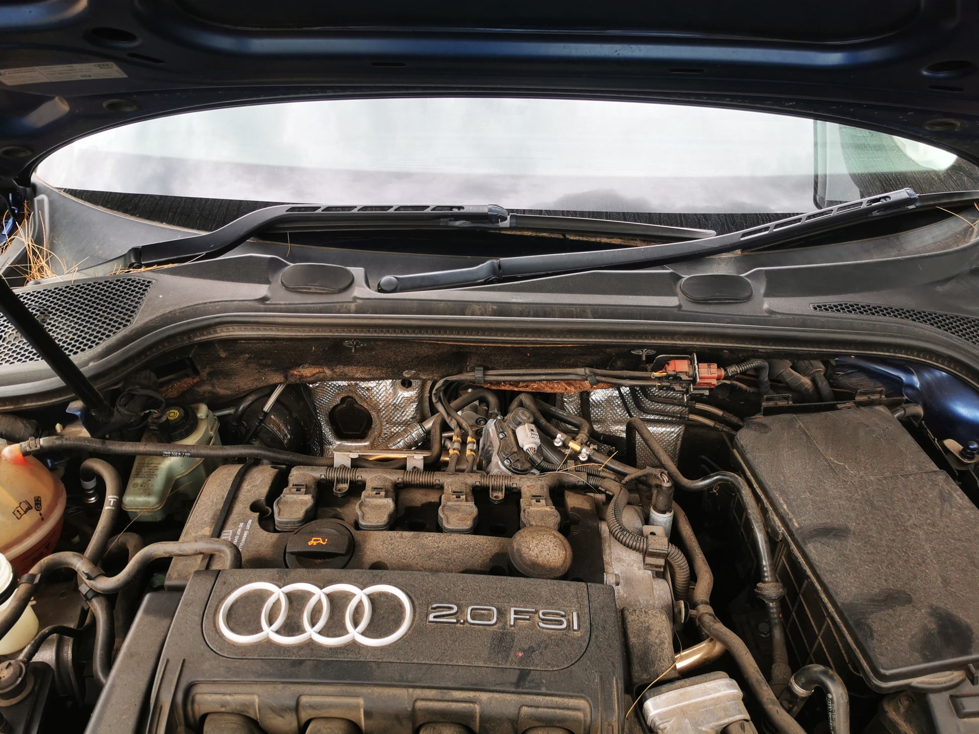 2005 AUDI A3 A3, 8P, HALOGEN TYPE, 06/04-07/08 8P0941003L LEFT HEADLAMP