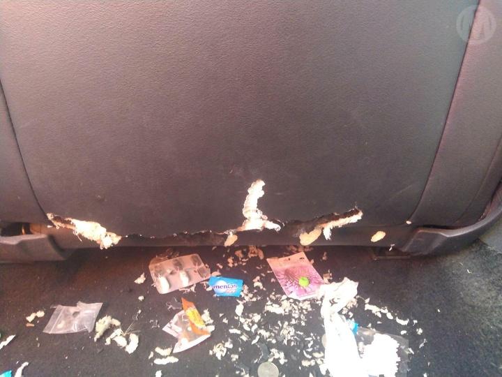 2017 SKODA OCTAVIA NE, 11/13-09/20 5G0857511B INTERIOR MIRROR