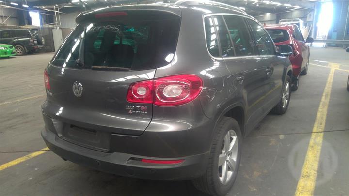 2010 VOLKSWAGEN TIGUAN REAR, 5N, 05/08-08/16  COURTESY LIGHT