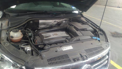 2010 VOLKSWAGEN TIGUAN REAR, 5N, 05/08-08/16  COURTESY LIGHT