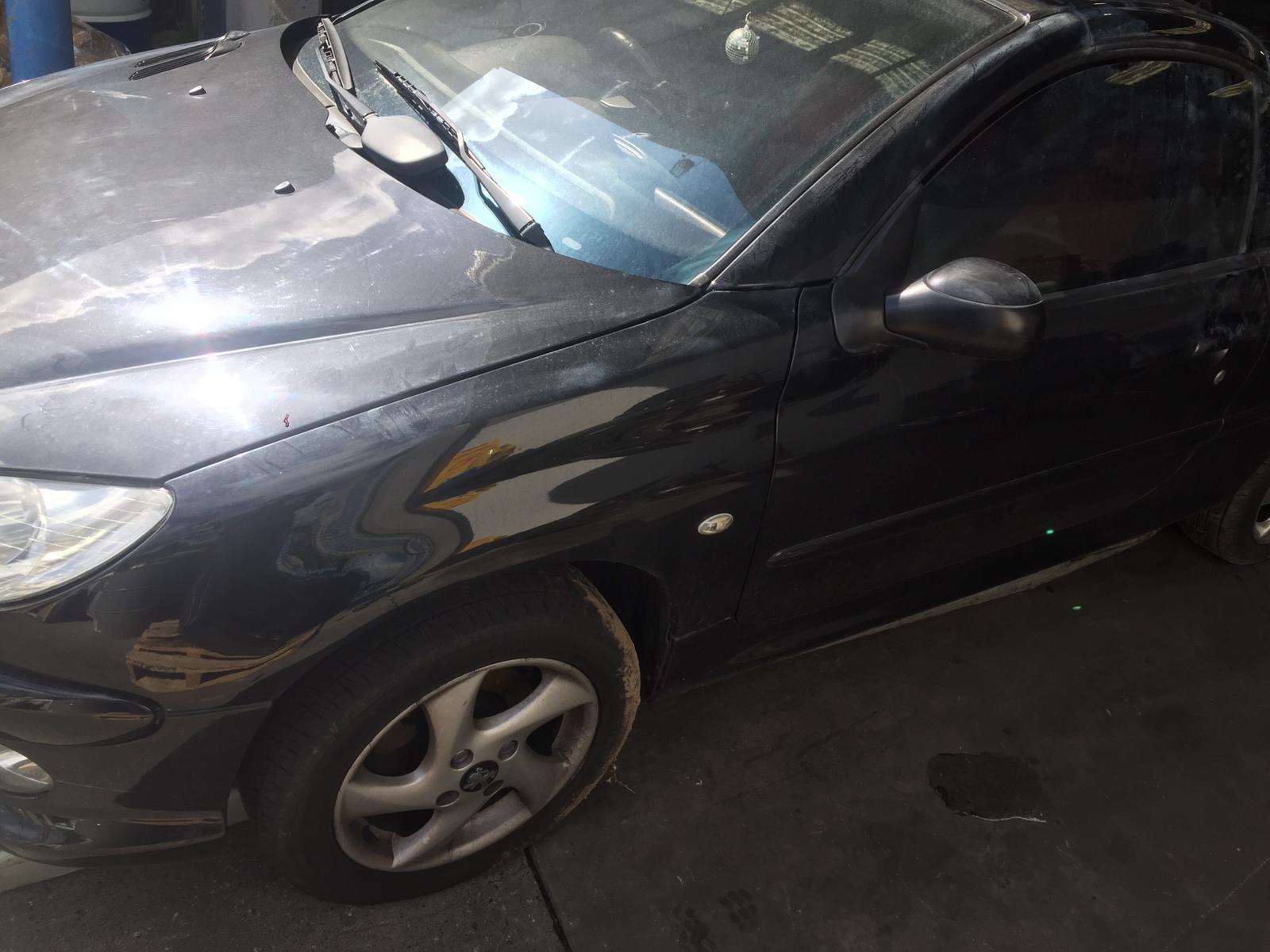 2005 PEUGEOT 206 T1, POWER, CABRIO, 10/01-11/07 8149LL LEFT DOOR MIRROR