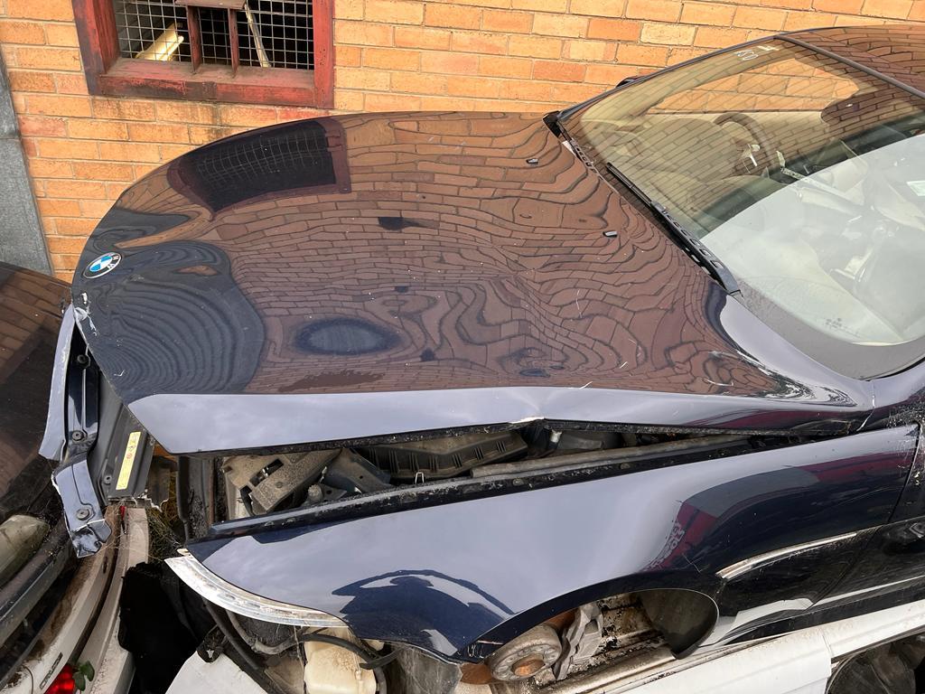 2008 BMW 6 SERIES E63/E64 05/04-04/11  COURTESY LIGHT