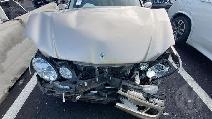 2003 MERCEDES E CLASS W211, 09/02-06/09 2118204301/2118205401/2118205701/2118206201/2118208701 COURTESY LIGHT